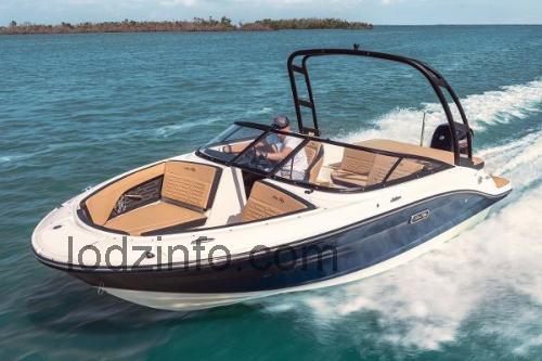 Sea Ray SPX 190 OB opinie i specyfikacja